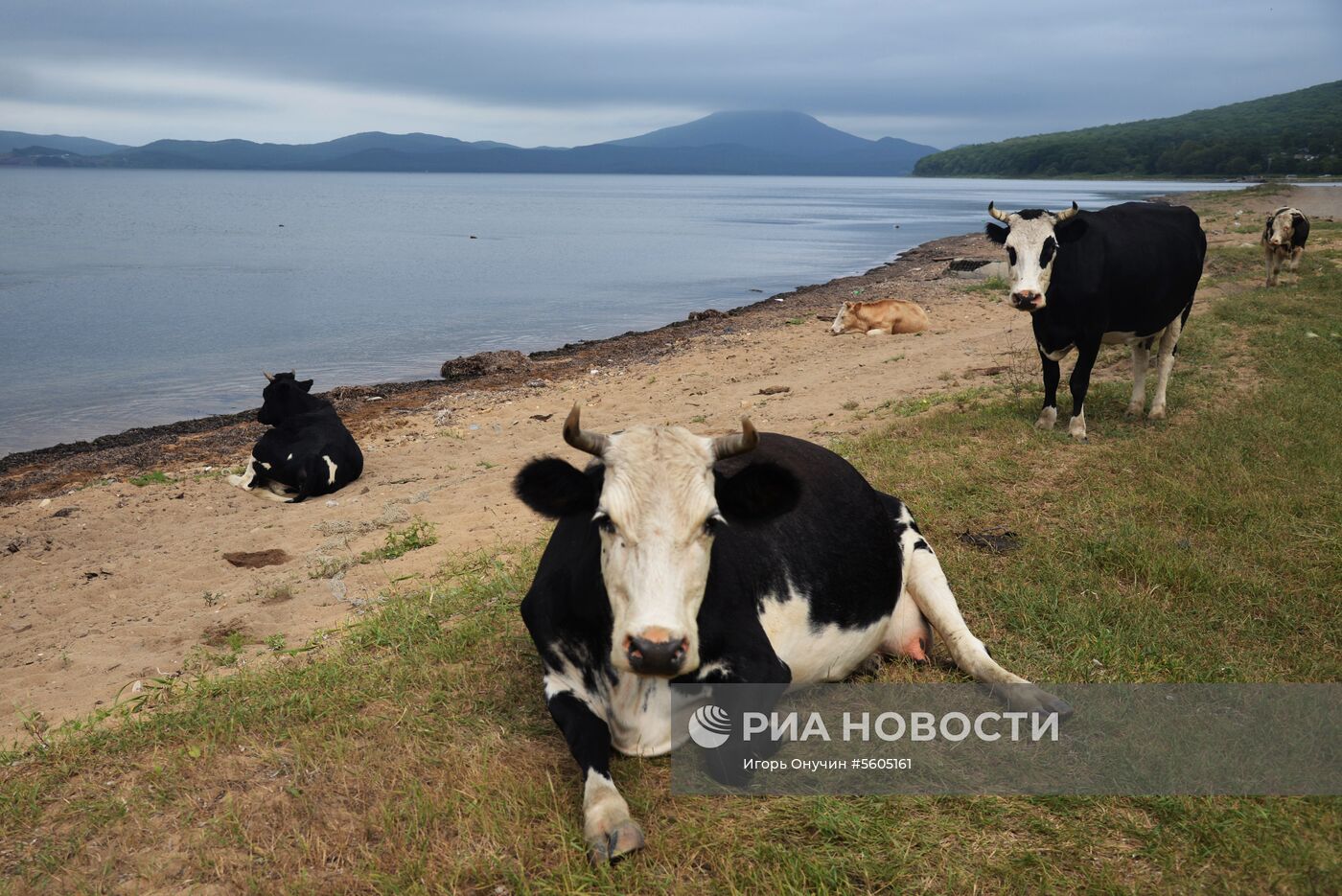 Остров Путятина в Приморском крае