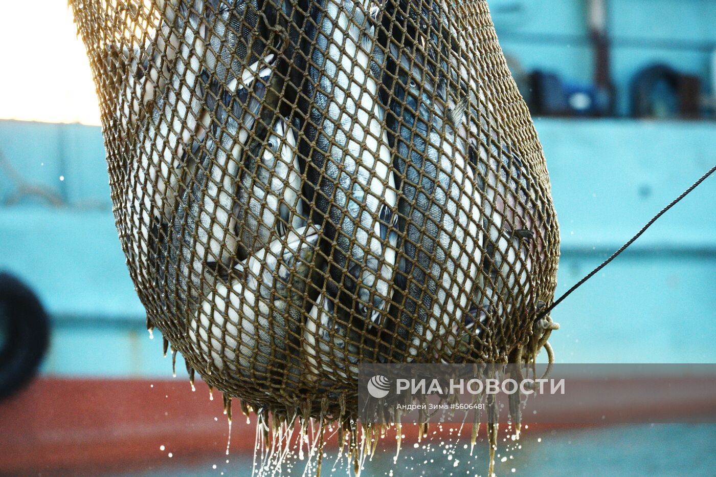Массовый лов красной рыбы на побережье Берингова моря в Анадыре 