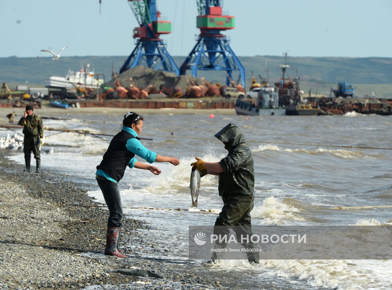Массовый лов красной рыбы на побережье Берингова моря в Анадыре 