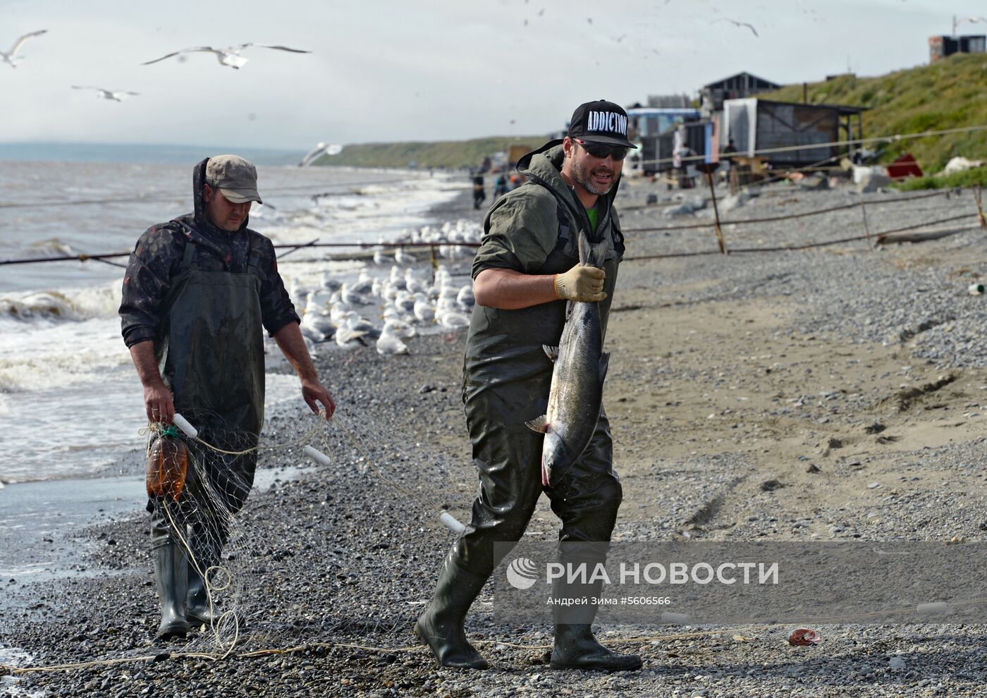 Массовый лов красной рыбы на побережье Берингова моря в Анадыре 