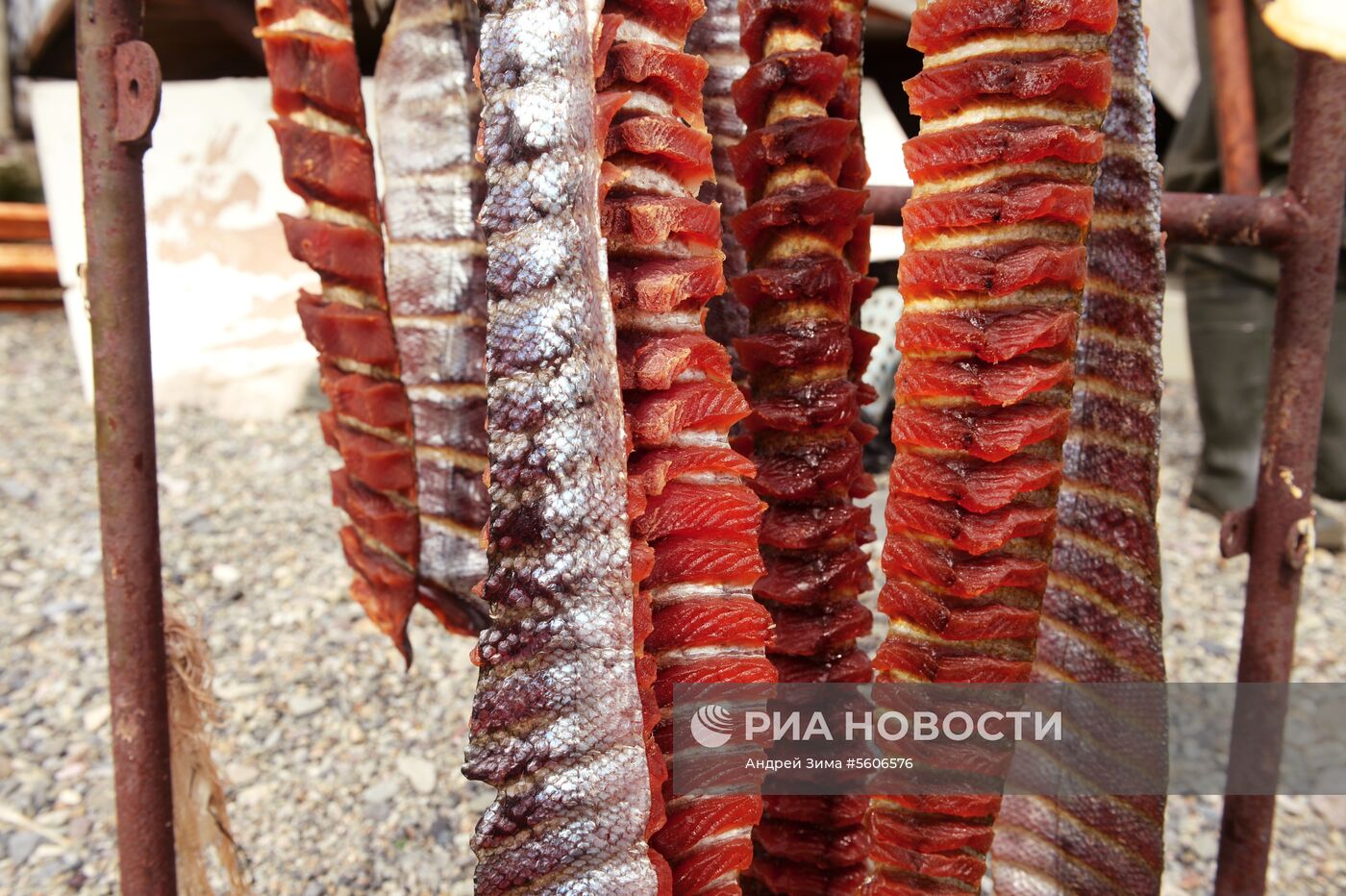 Массовый лов красной рыбы на побережье Берингова моря в Анадыре 