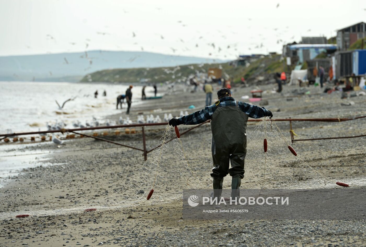 Массовый лов красной рыбы на побережье Берингова моря в Анадыре 