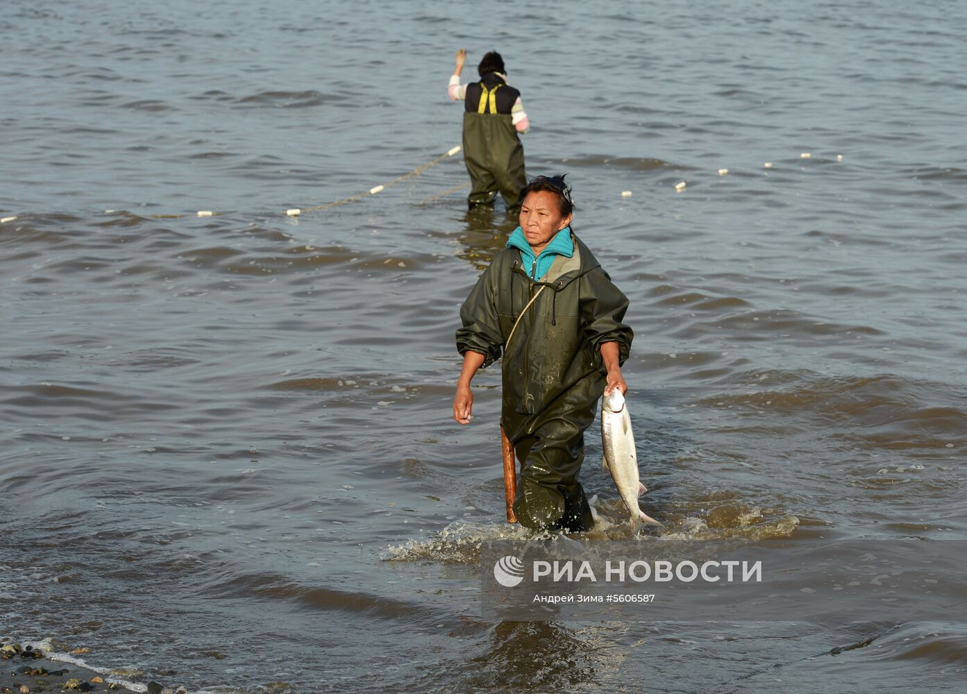 Массовый лов красной рыбы на побережье Берингова моря в Анадыре 