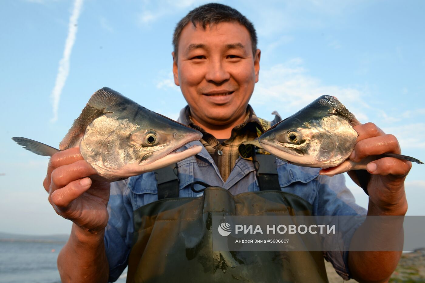 Массовый лов красной рыбы на побережье Берингова моря в Анадыре 