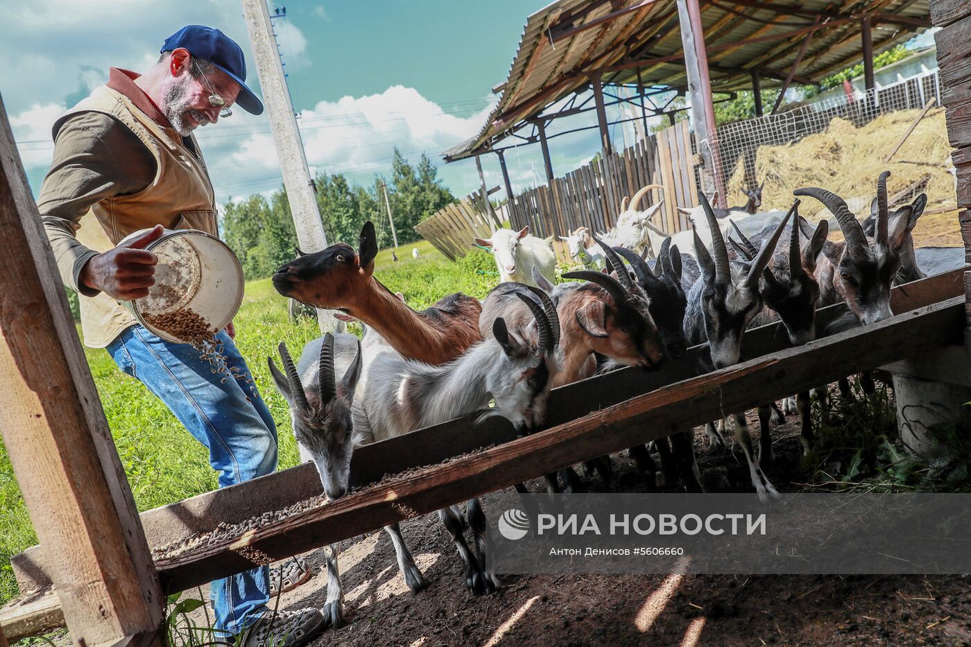 Сильнейшим прокачивая фермерство. Джей Роберт Клоуз. Джей Клоуз ферма. Джей Клоуз сыроварня. Фермер с козой.