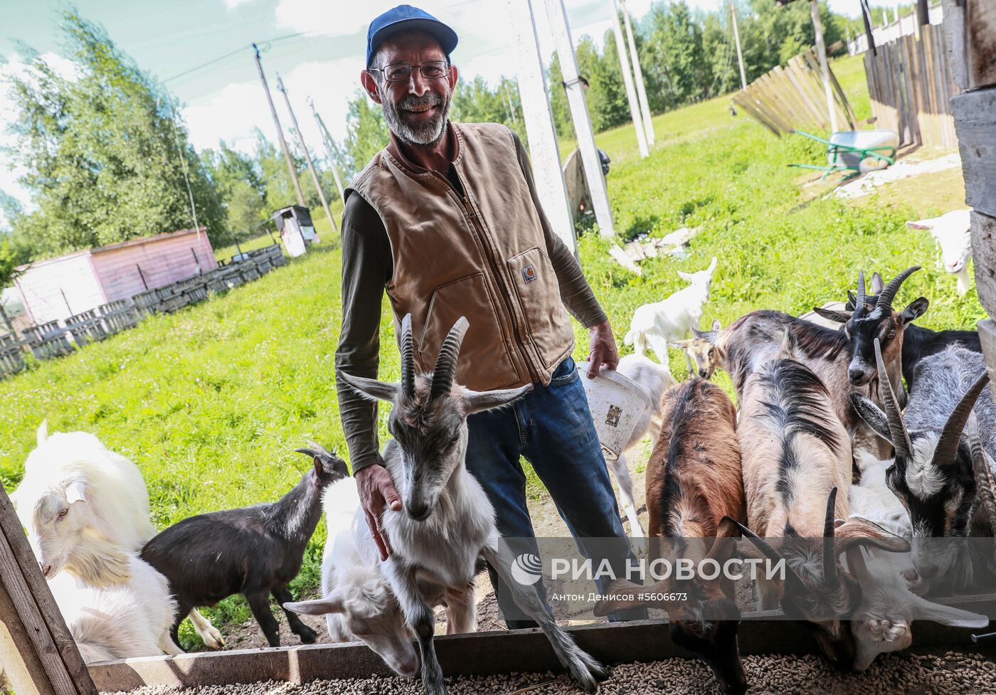 Фермерское хозяйство американца Джея Роберта Клоуза в Московской области