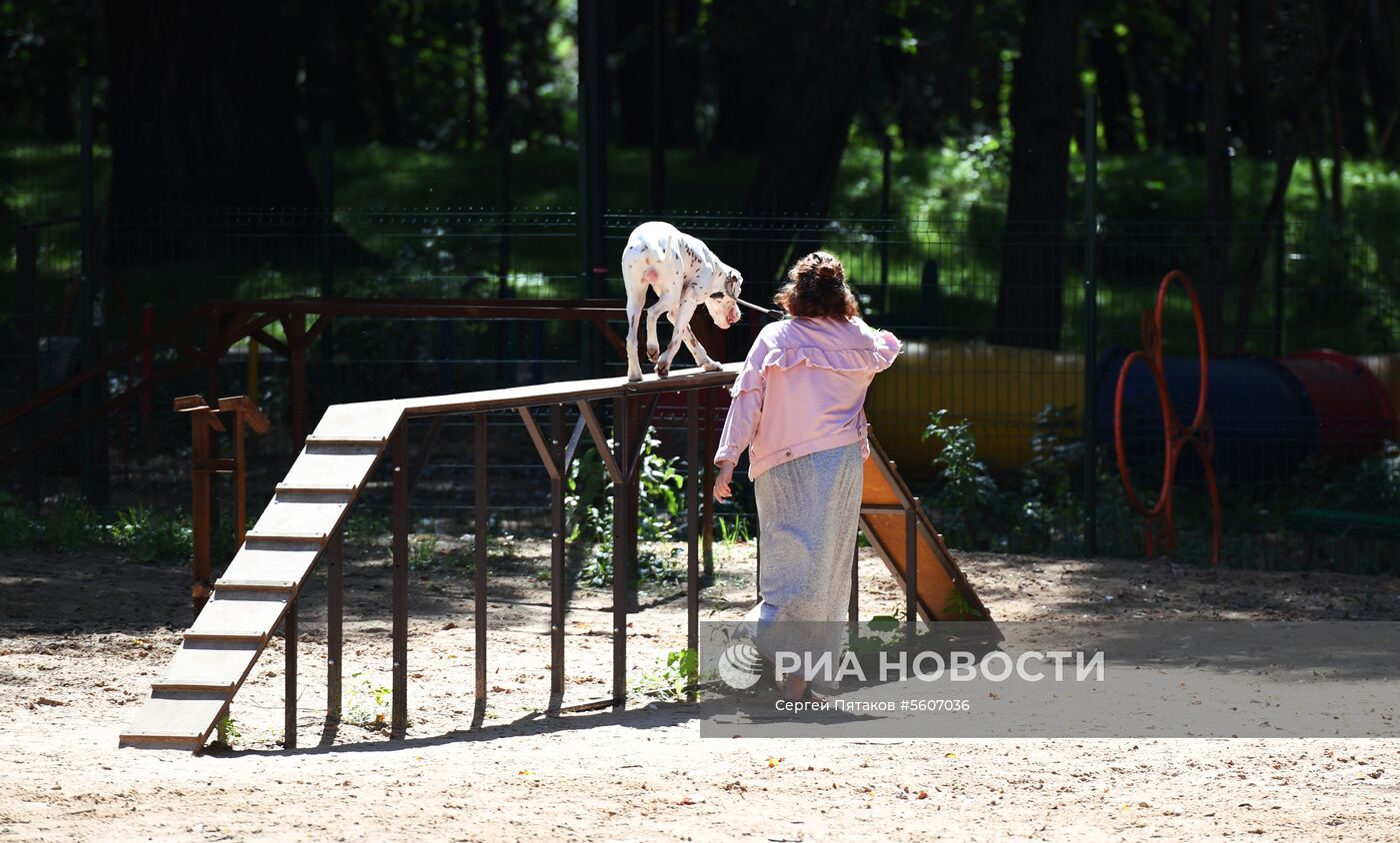 Грачевский парк