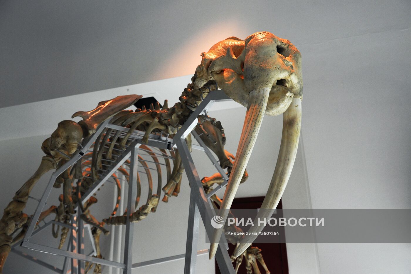 Города России. Анадырь