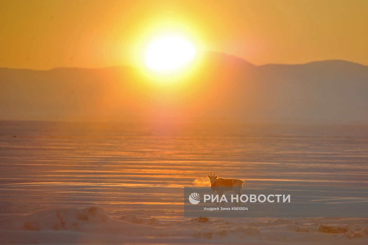 Регионы России. Чукотка