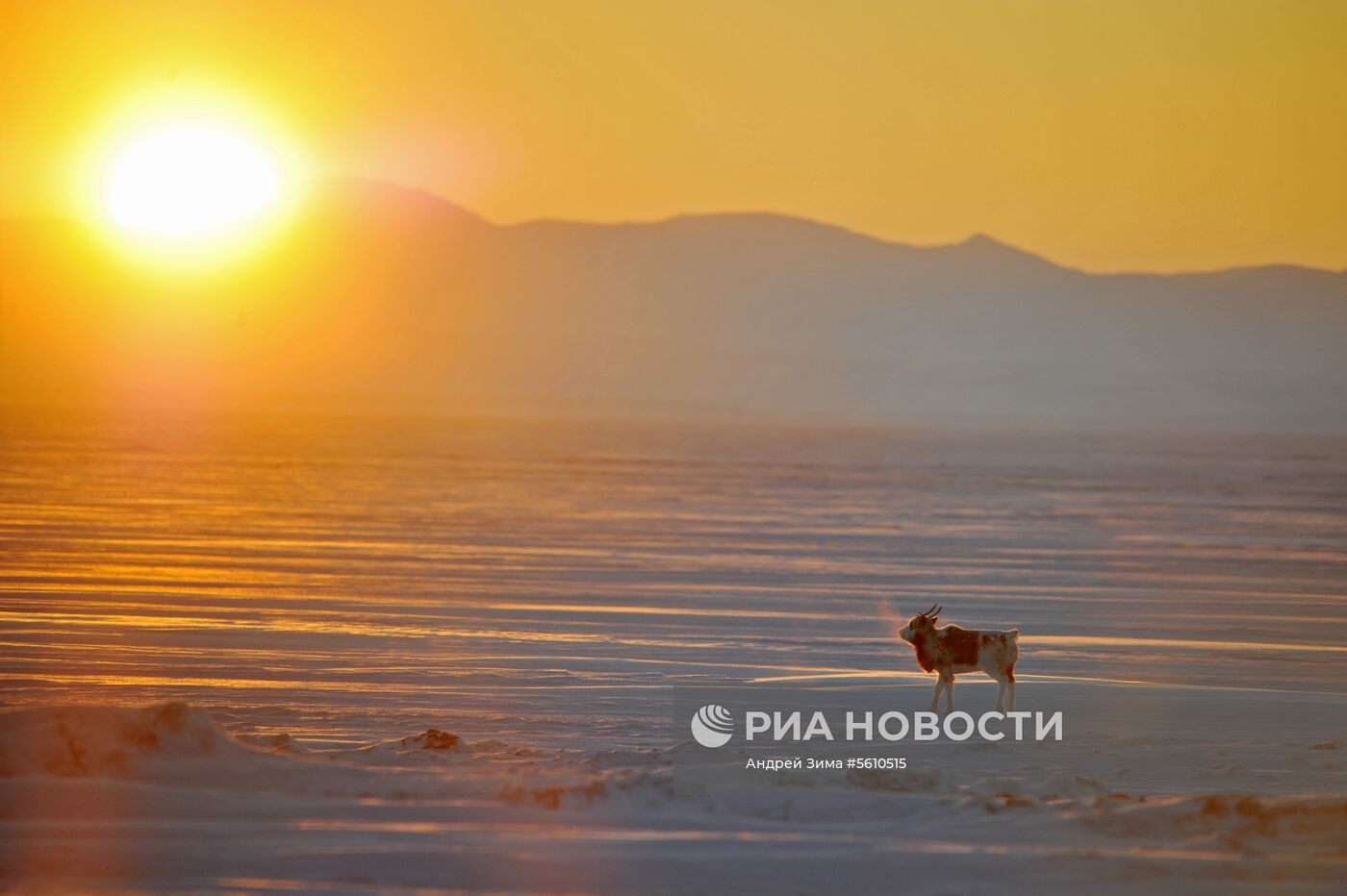 Регионы России. Чукотка