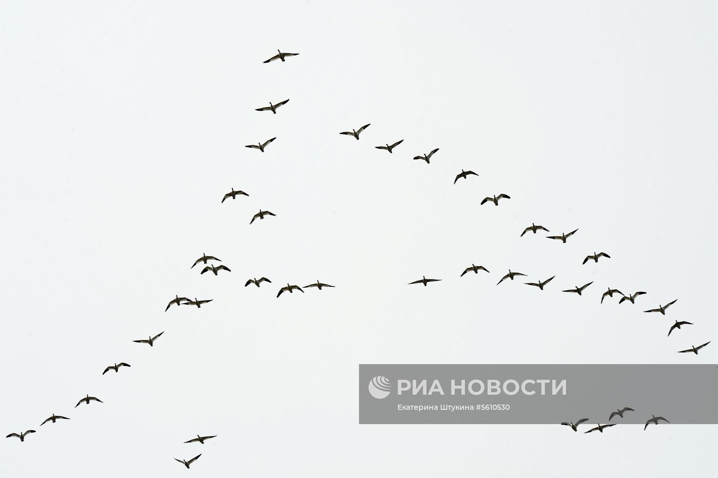 Регионы России. Чукотка