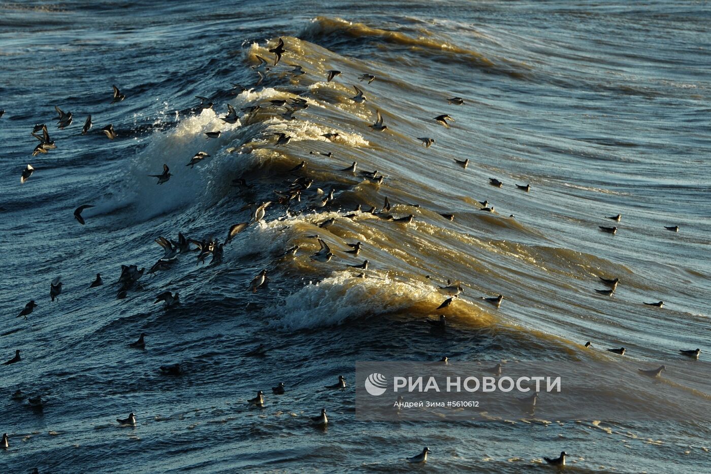 Регионы России. Чукотка