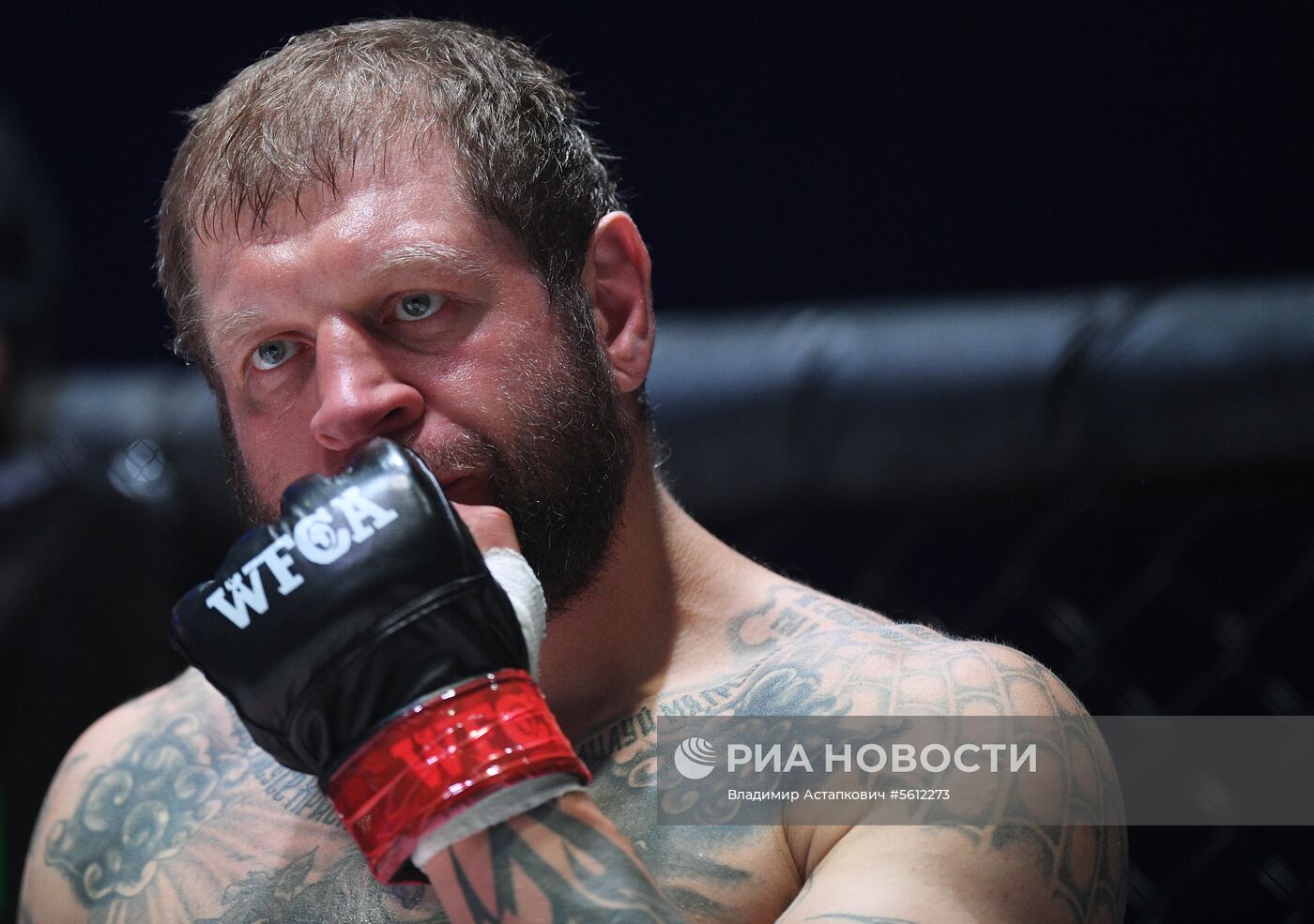 Смешанные единоборства. Бой между А. Емельяненко и Т. Джонсоном