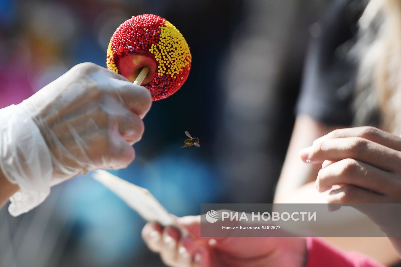 Праздник Преображения Господня