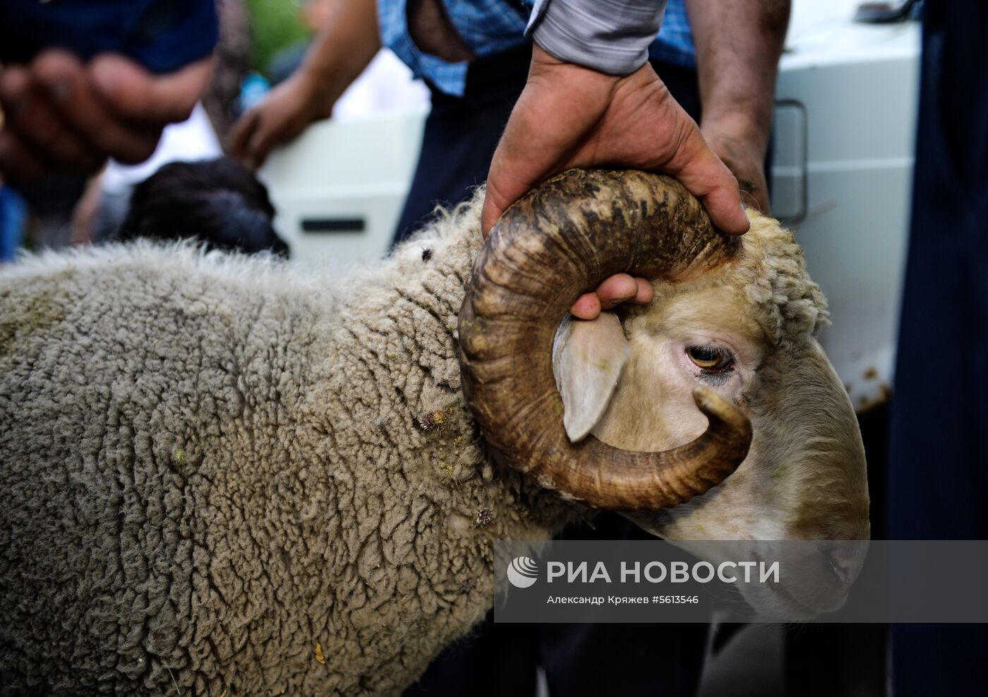 Празднование Курбан-Байрама в городах России