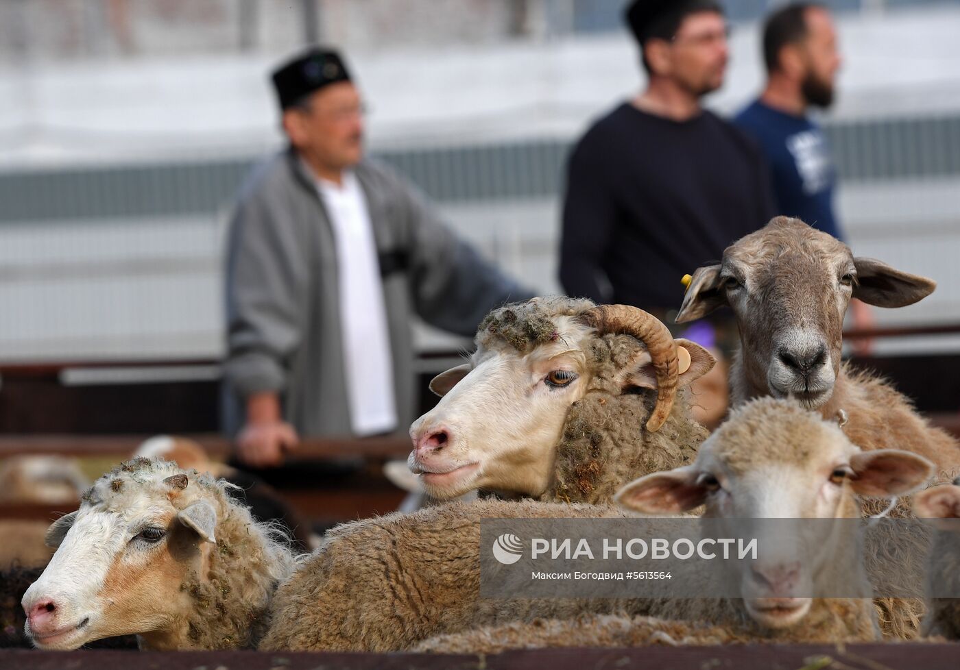Празднование Курбан-Байрама в городах России