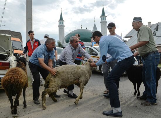 Празднование Курбан-Байрама в городах России 