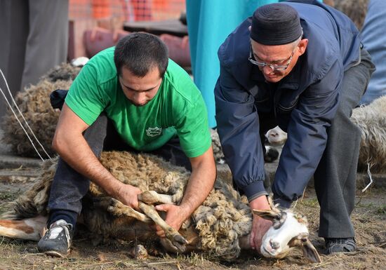 Празднование Курбан-Байрама в городах России