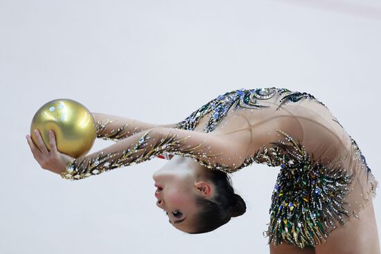 Художественная гимнастика. Этап Кубка вызова. Первый день