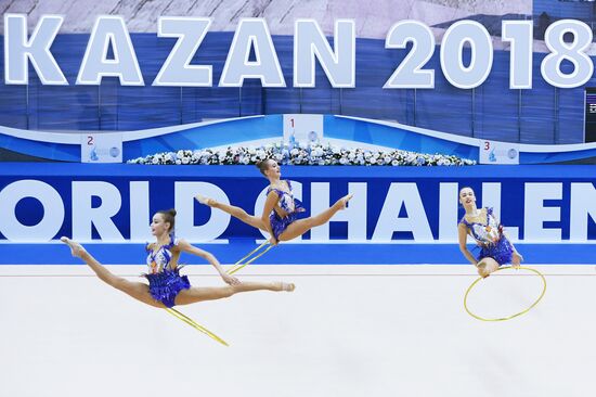 Художественная гимнастика. Этап Кубка вызова. Первый день