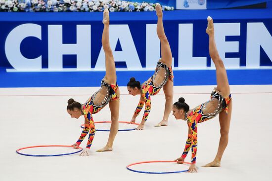 Художественная гимнастика. Этап Кубка вызова. Первый день