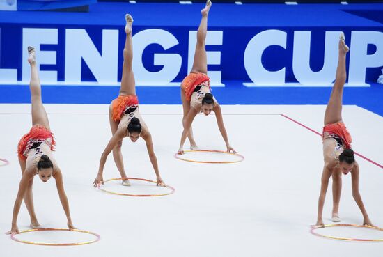 Художественная гимнастика. Этап Кубка вызова. Первый день