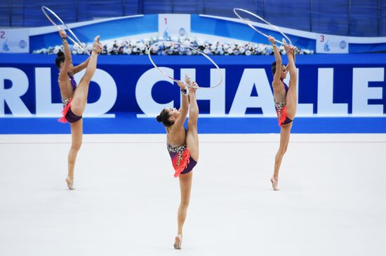 Художественная гимнастика. Этап Кубка вызова. Первый день