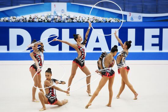 Художественная гимнастика. Этап Кубка вызова. Первый день