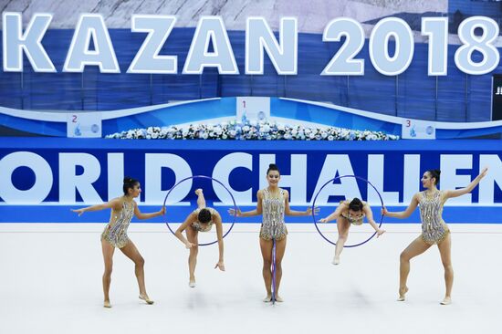 Художественная гимнастика. Этап Кубка вызова. Первый день