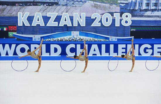 Художественная гимнастика. Этап Кубка вызова. Первый день