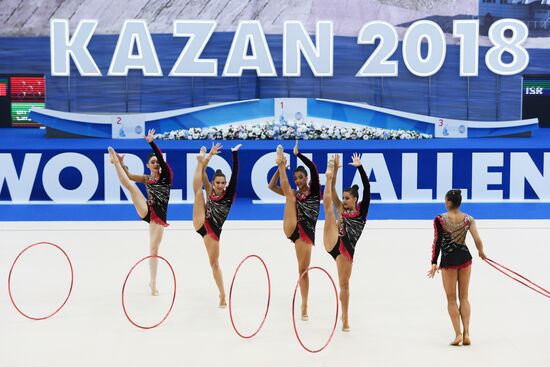 Художественная гимнастика. Этап Кубка вызова. Первый день