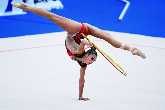 Художественная гимнастика. Этап Кубка вызова. Третий день