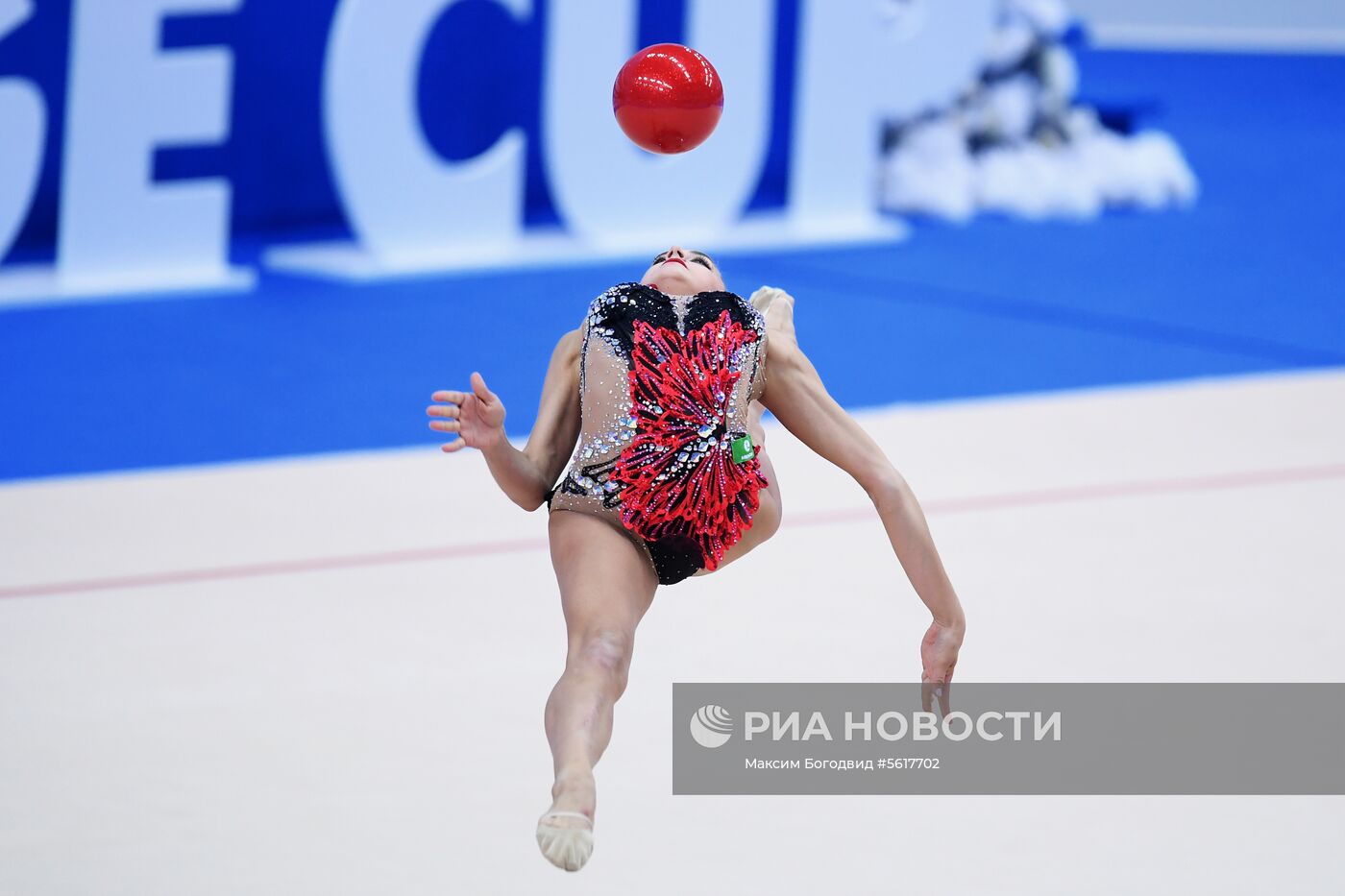 Художественная гимнастика. Этап Кубка вызова. Третий день