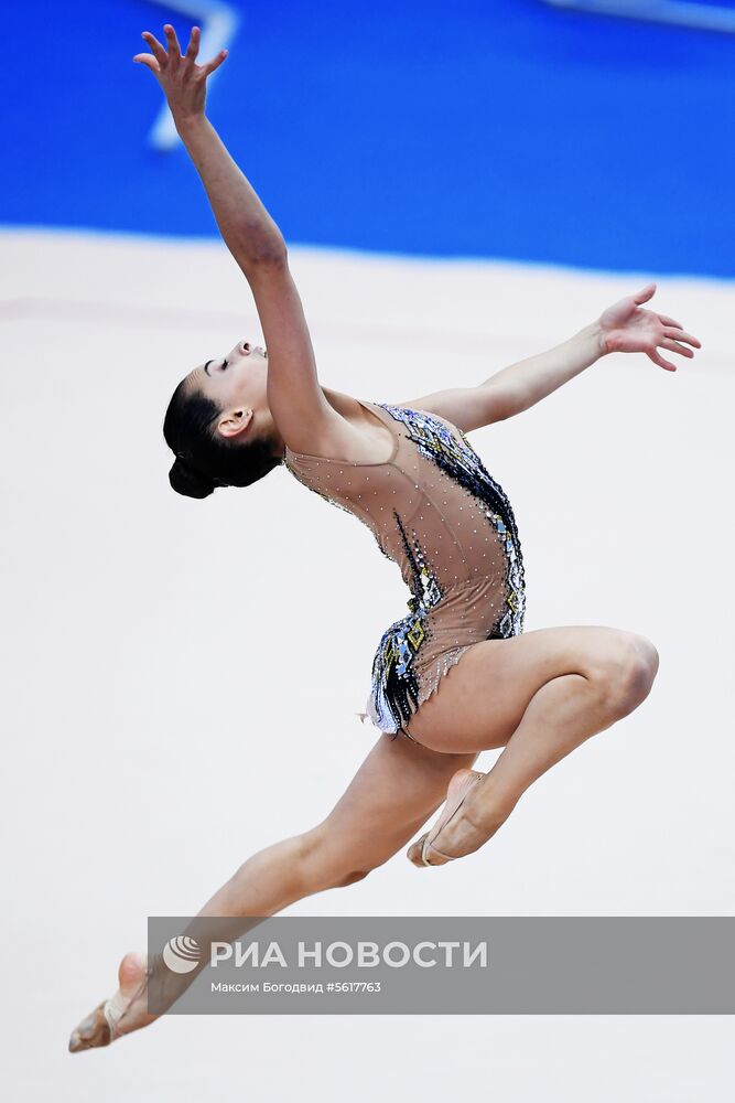 Художественная гимнастика. Этап Кубка вызова. Третий день