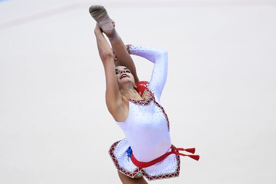 Художественная гимнастика. Этап Кубка вызова. Третий день