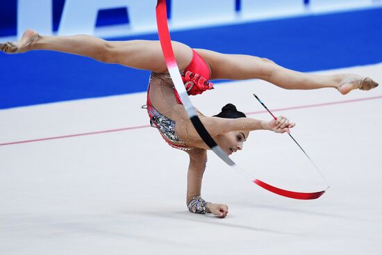 Художественная гимнастика. Этап Кубка вызова. Третий день