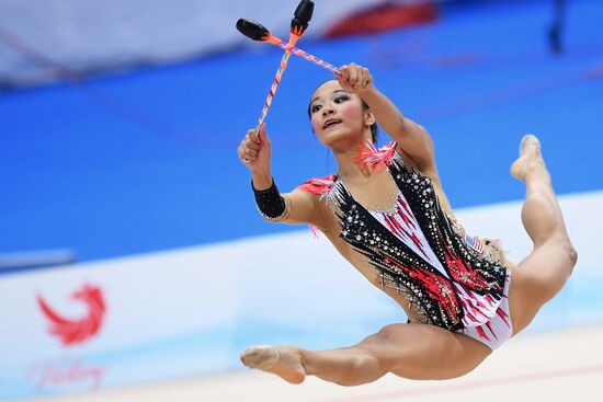 Художественная гимнастика. Этап Кубка вызова. Третий день