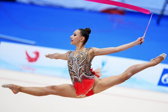 Художественная гимнастика. Этап Кубка вызова. Третий день