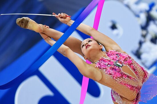 Художественная гимнастика. Этап Кубка вызова. Третий день