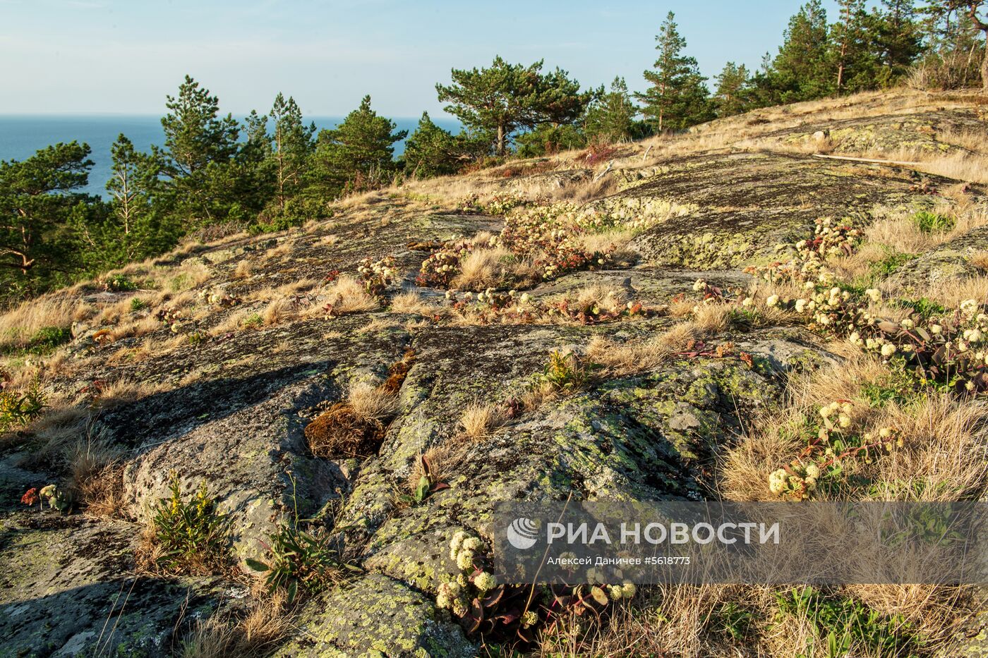 Остров Гогланд