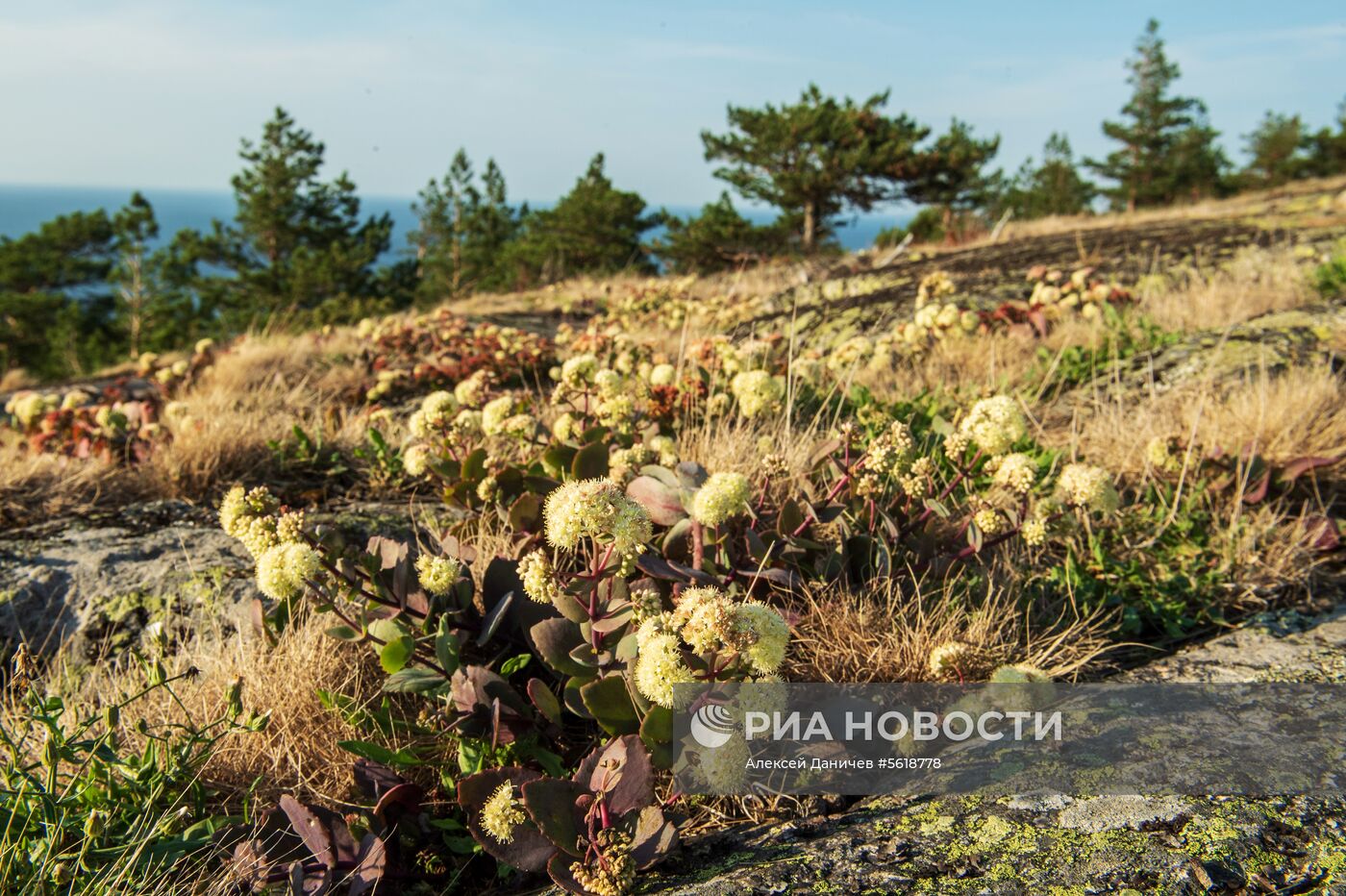 Остров Гогланд