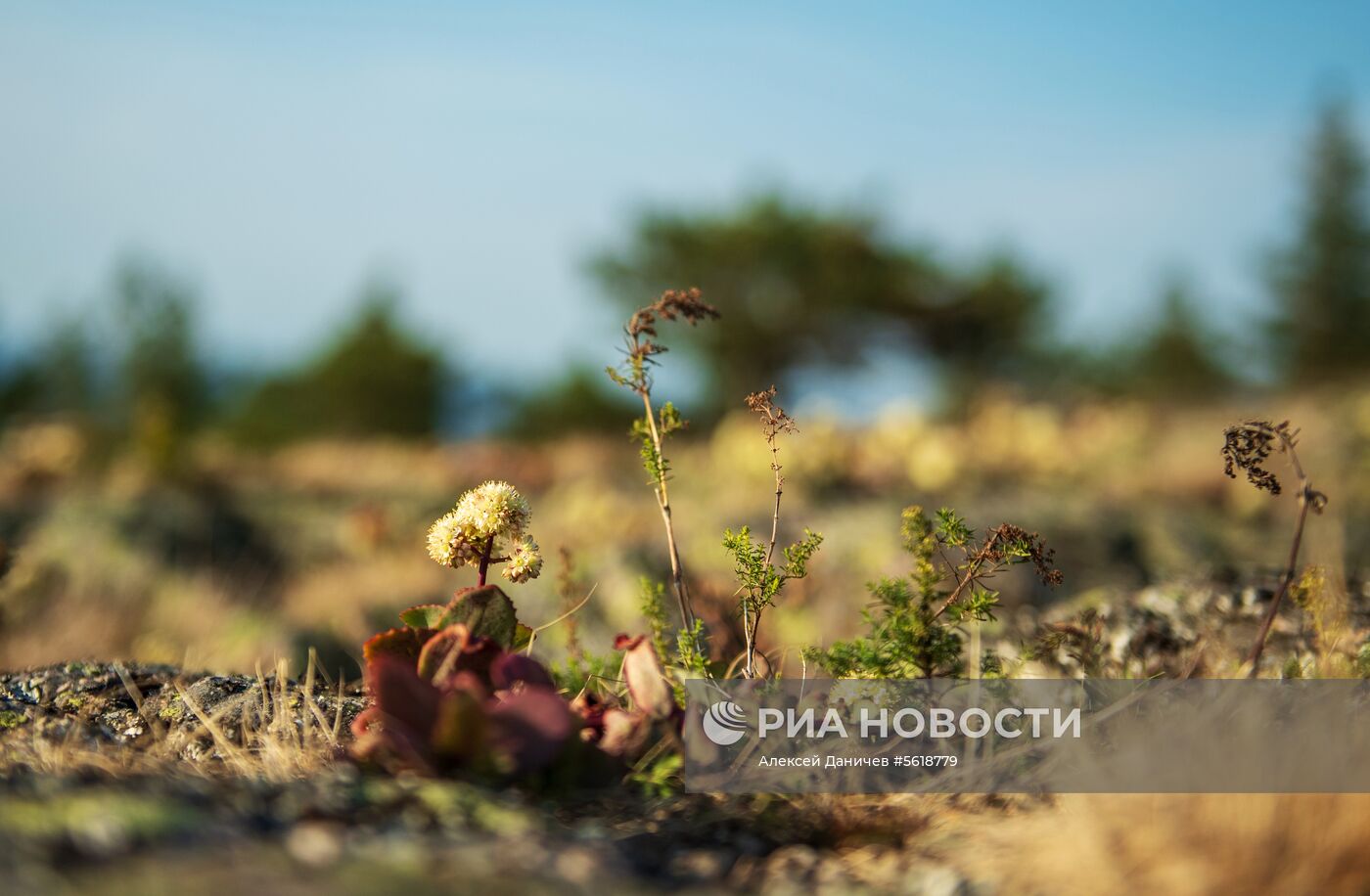 Остров Гогланд