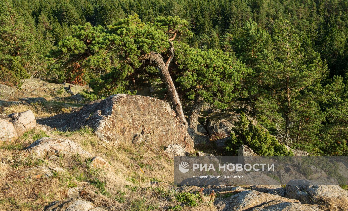 Остров Гогланд