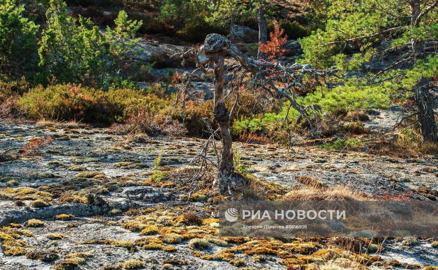 Остров Гогланд