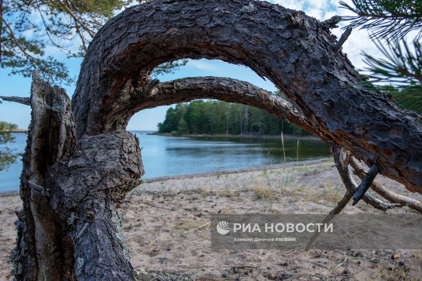 Остров Гогланд