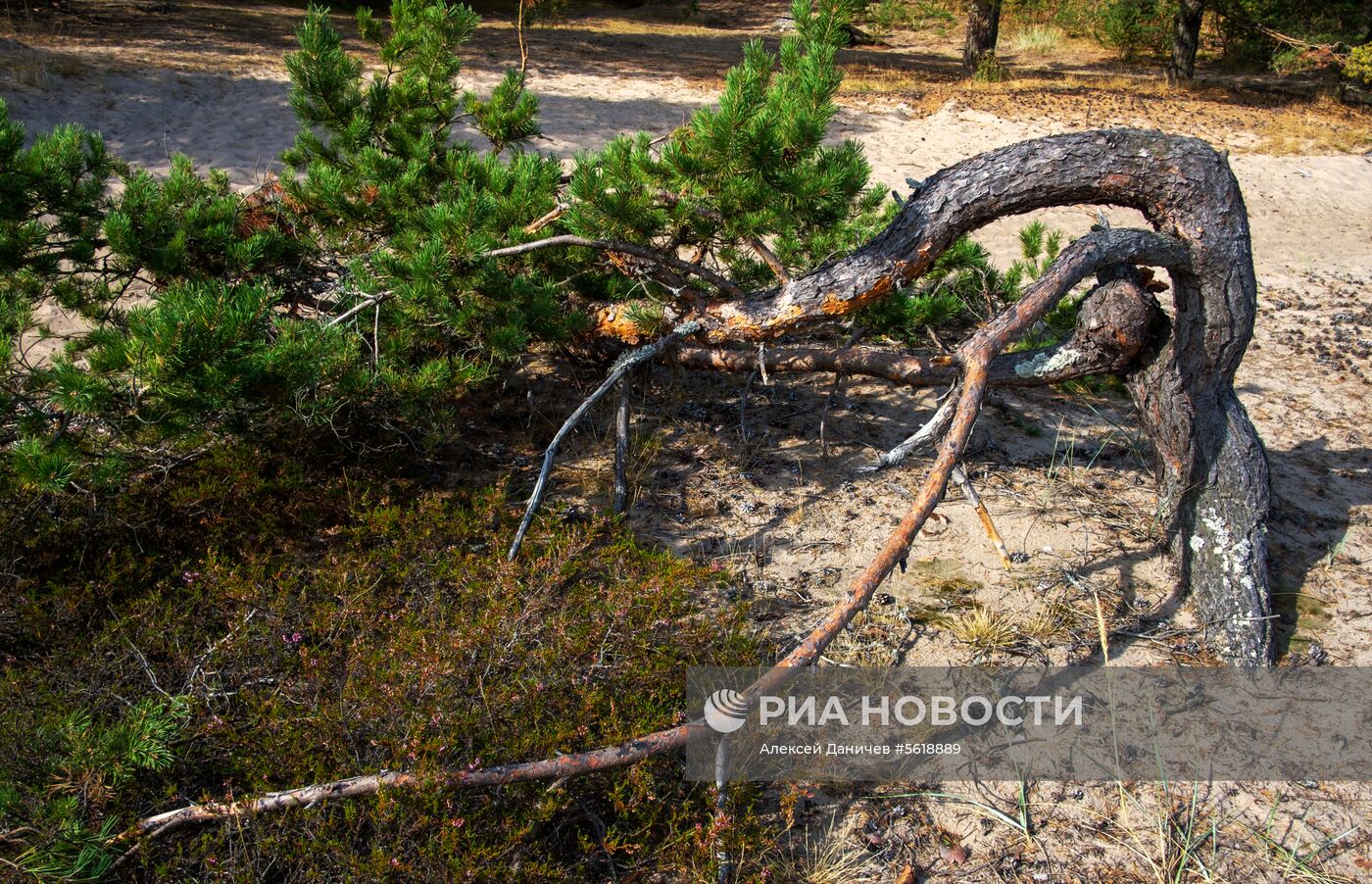 Остров Гогланд