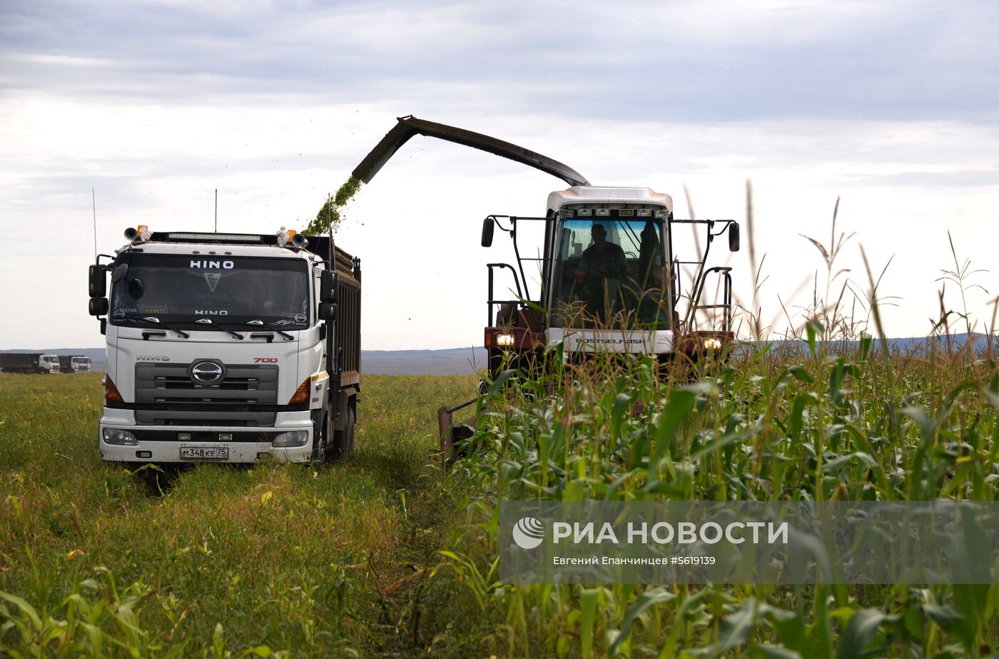 Кормозаготовительные работы в Забайкалье