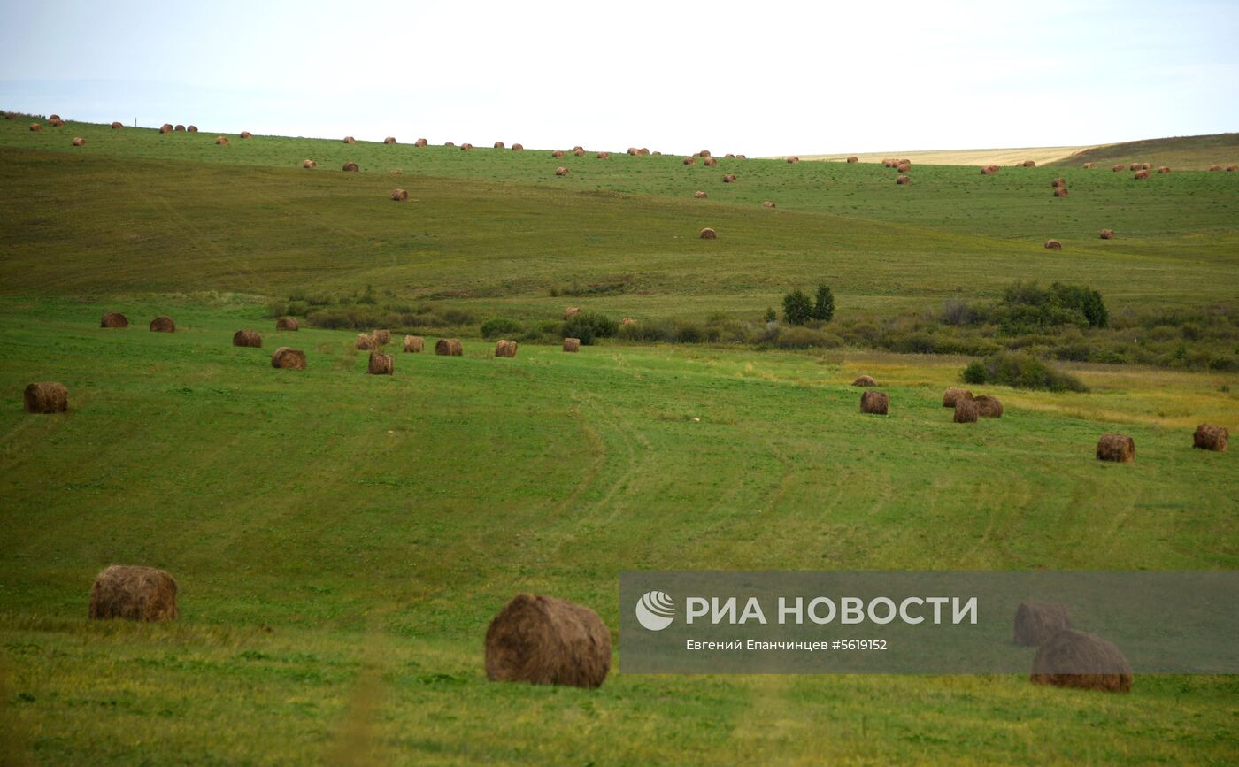 Кормозаготовительные работы в Забайкалье