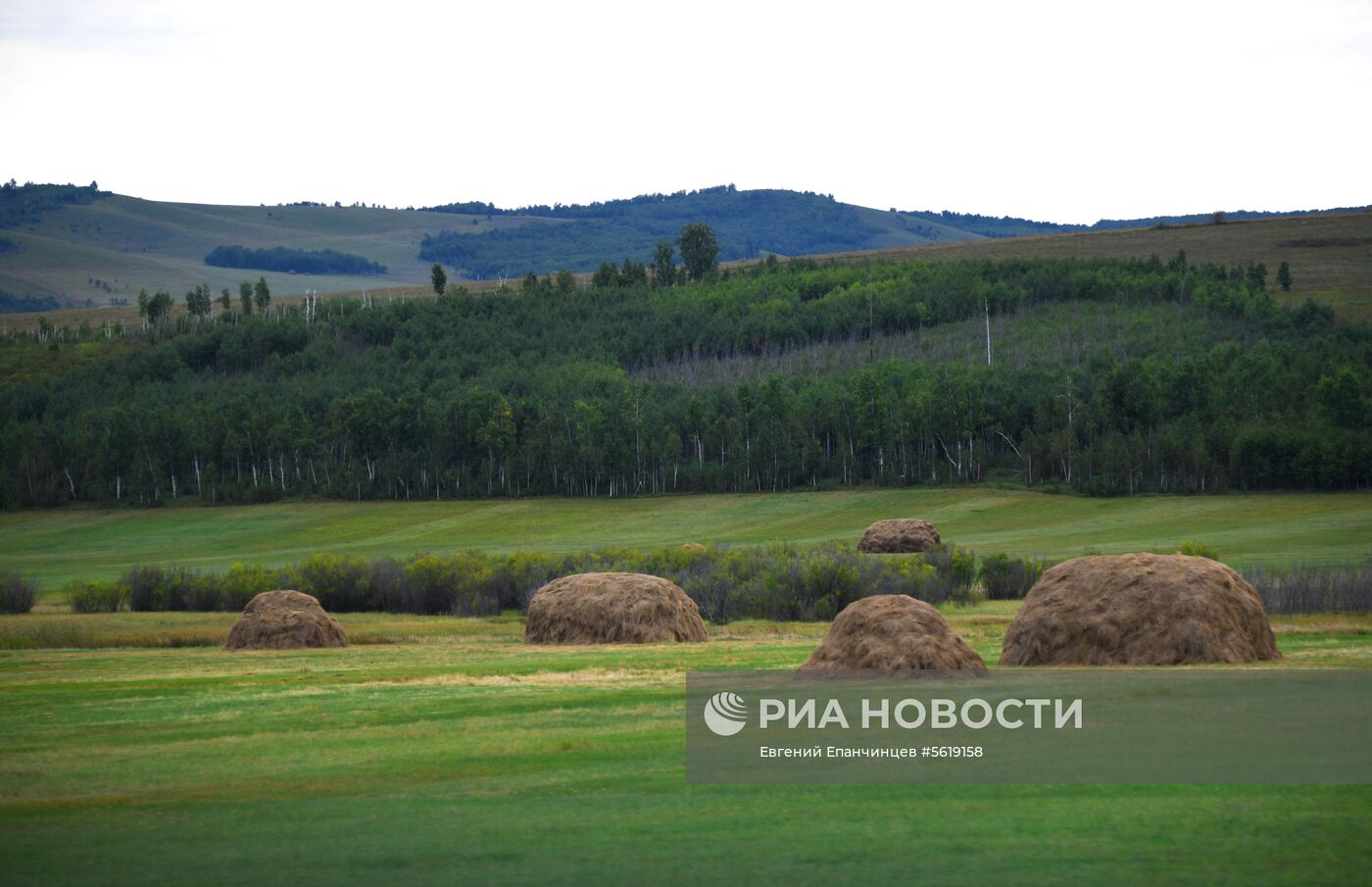 Кормозаготовительные работы в Забайкалье