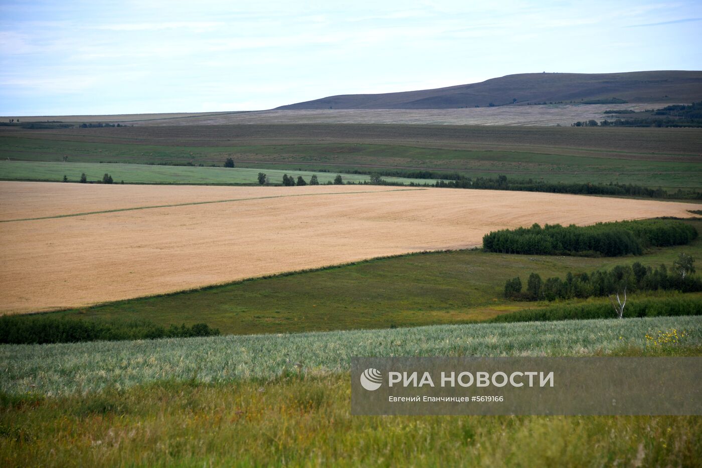 Кормозаготовительные работы в Забайкалье